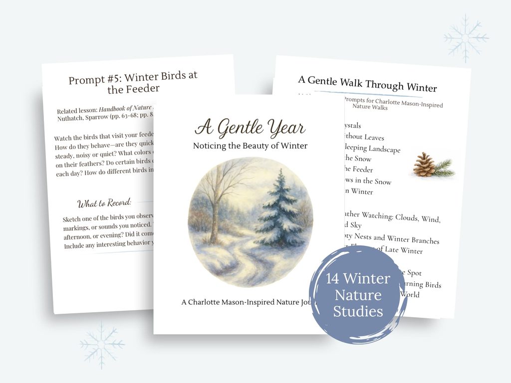winter nature study curriculum cover and inside pages for your charlotte mason homeschool