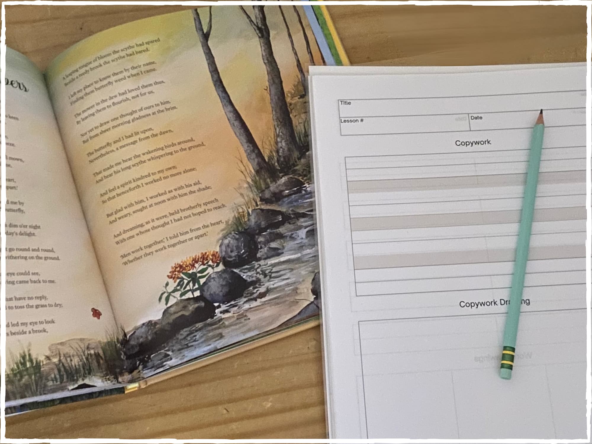 Charlotte Mason style copywork using living books and a notebook