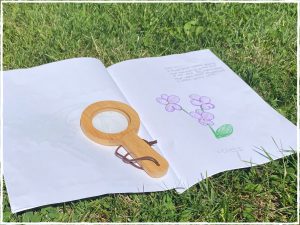 An open page of our nature journal with a drawing of violets outside in the park