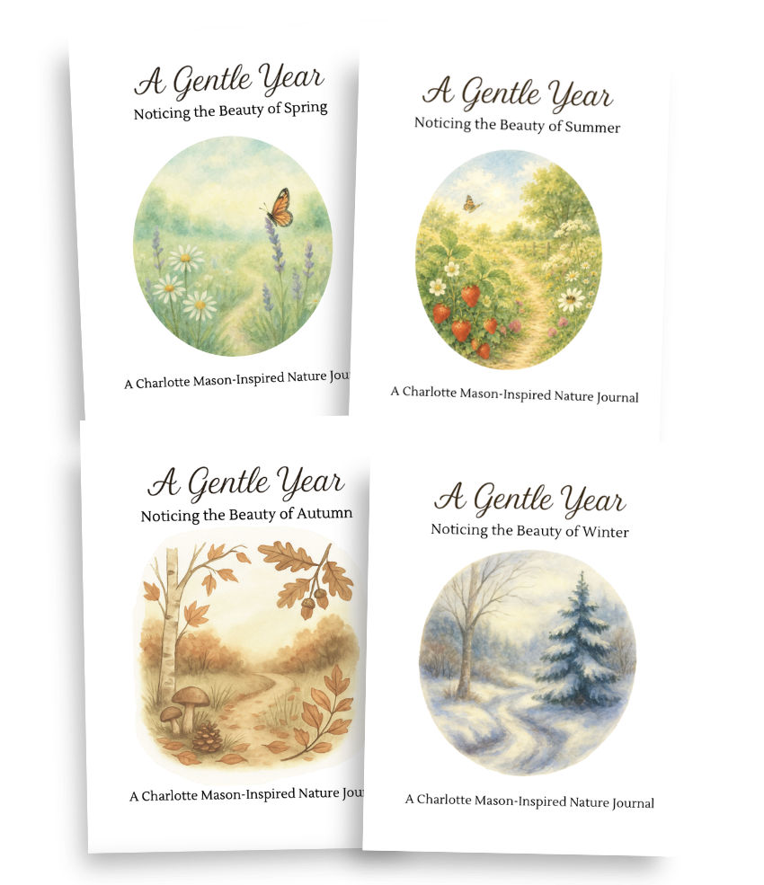 A Gentle Year Nature Journals — Year-Round Bundle