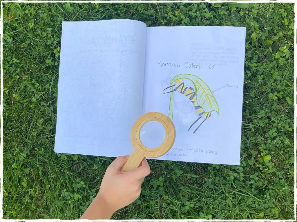 An entry from my child's nature journal of a monarch butterfly while looking through a magnifying glass