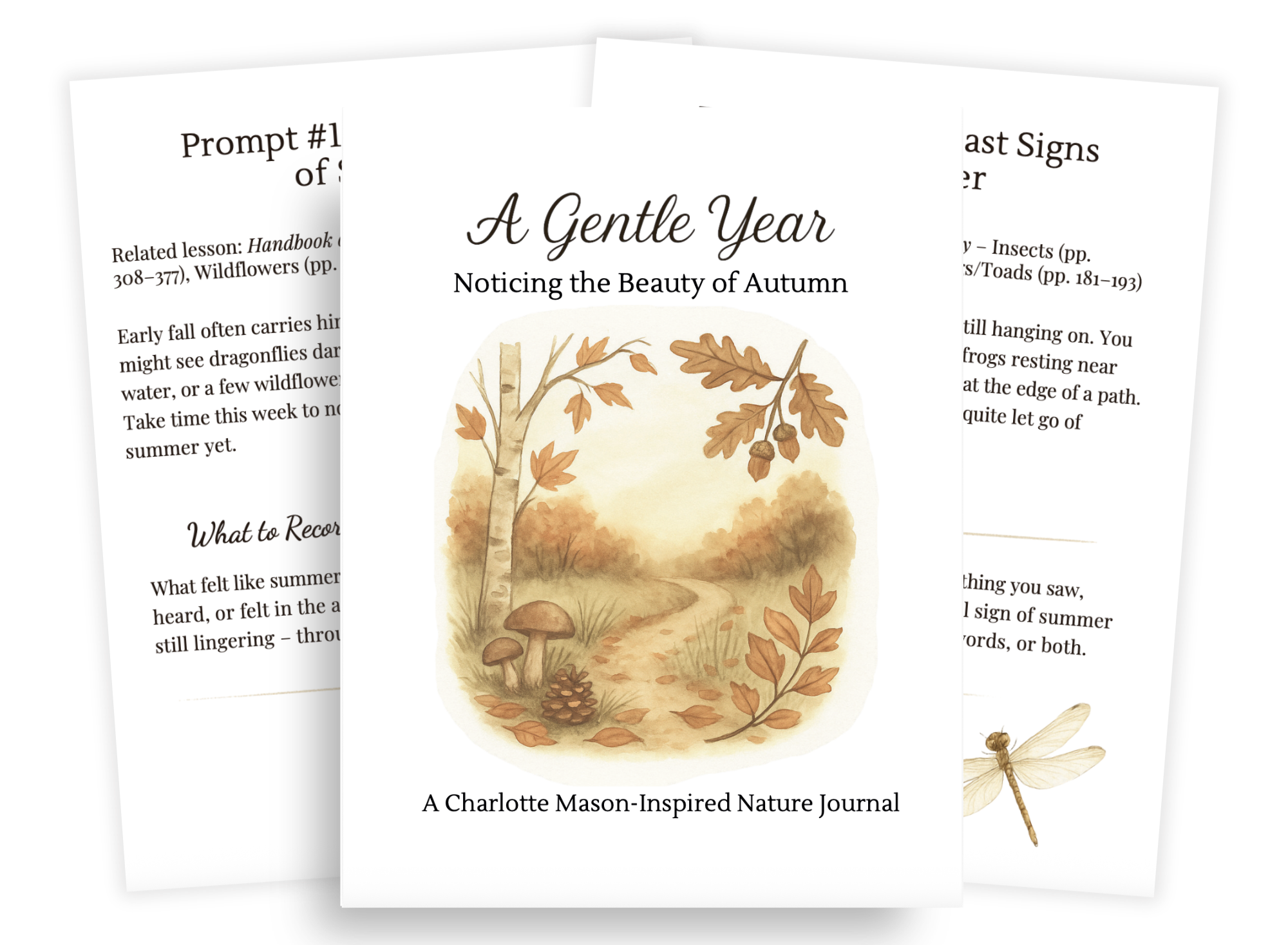 Fall Nature Study Notebook with Charlotte Mason inspired nature study prompts